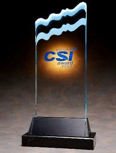 2013 CSI Award